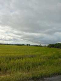 Alor 5 Setar, Kedah Darul Aman