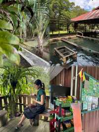 One-Day Itinerary: Kuching → Serian (Nature & Local Flavors)