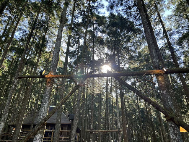 馬武督探索森林｜新竹關西的森林秘境，親子共遊的自然教室 