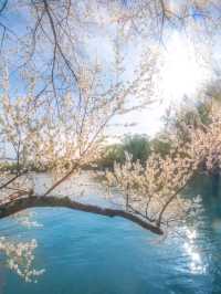 Beijing – Where Ancient Majesty Meets Modern Might