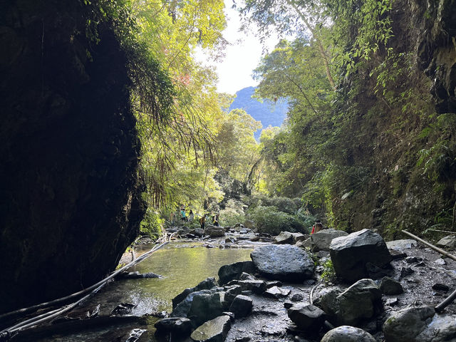 武界壩｜南投仁愛鄉的歷史水利工程與自然景觀 