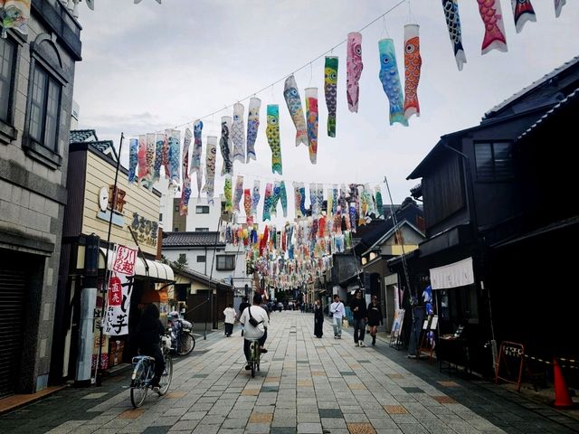 Last Edo period place just 1 hour from Tokyo!