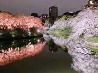 sumida park