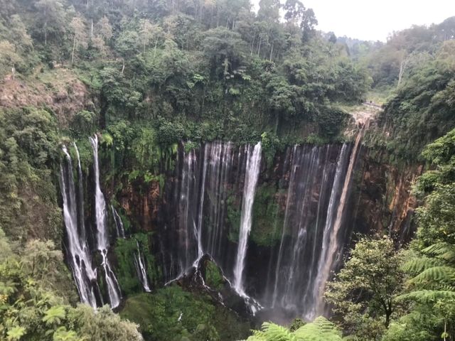 Tumpak Sewu ถ้ายังมีแรง ควรลงไปดูสักครั้ง