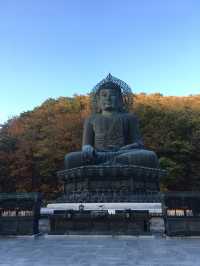 설악산 단풍