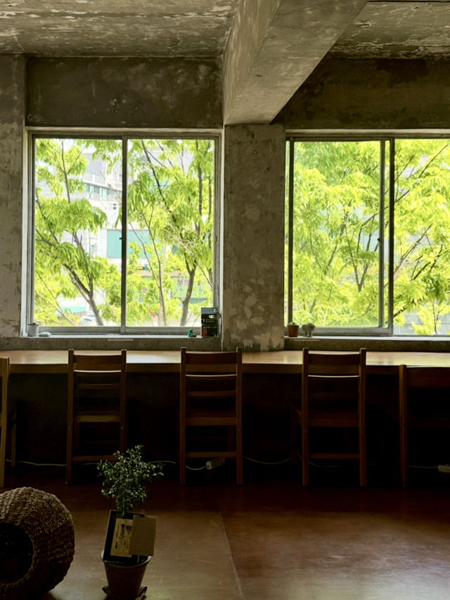 봄의 녹음과 잘 어울리고 🌳푸릇푸릇 자연뷰의 휴식하기 좋은 망원동 카페투어💚