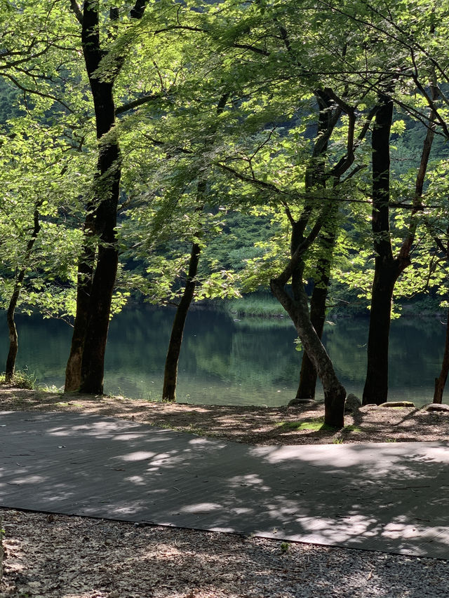 광주 근교 고즈넉함을 느낄 수 있는 백양사