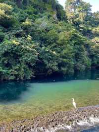 3 wonderful waterfalls to explore in Jeju Island