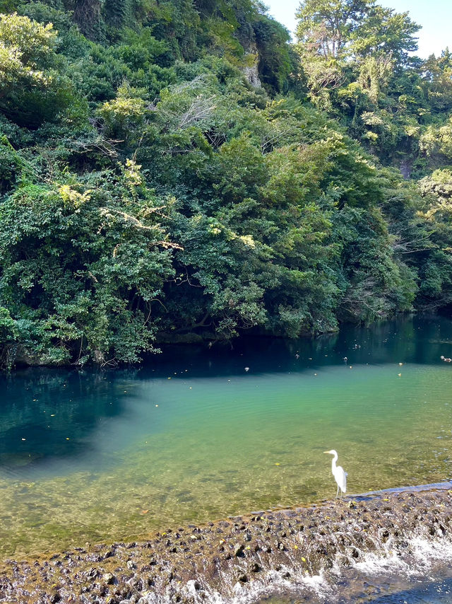 3 wonderful waterfalls to explore in Jeju Island