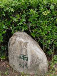 #林後四林平地森林園區-屏東縣潮州鎮