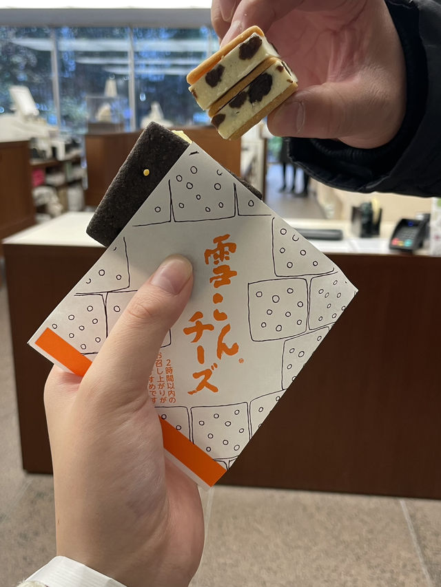 【北海道】グルメを楽しむ札幌旅🍛🍣 ご飯もスイーツも満喫しよう！💯