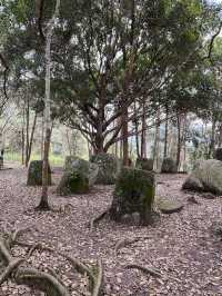 Mystery in the Heart of Laos: The Plain of Jars