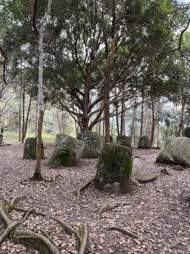 Mystery in the Heart of Laos: The Plain of Jars