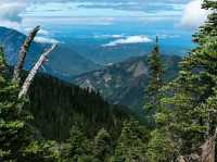 Exploring the Enchanted Forest: Hiking the Hoh Rain Forest Trail