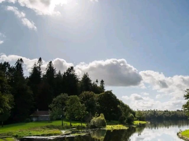 Altamont Gardens – A Romantic Treasure in County Carlow