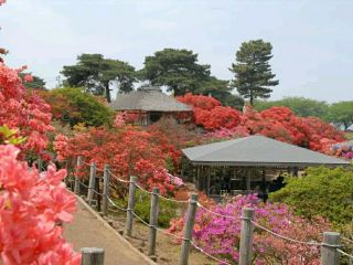 Tsutsujigaoka Park – Tokyo’s Springtime Bloom Spot