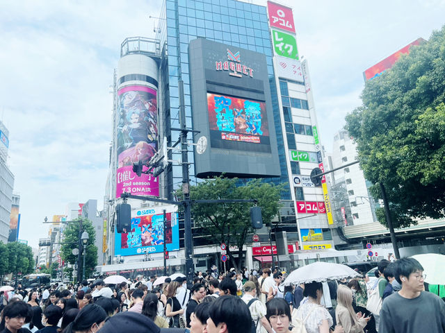 Shibuya – A Lively Mix of Anime, Culture, and City Life