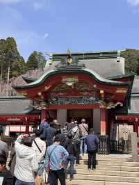 霧島神宮享受大自然