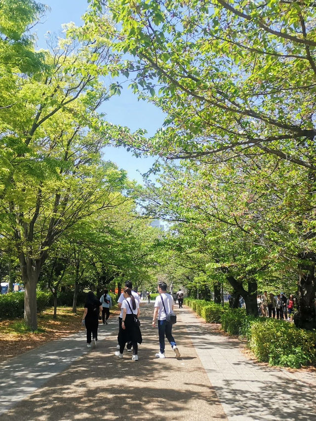 🗾 "From Himeji to Matsumoto, every turr