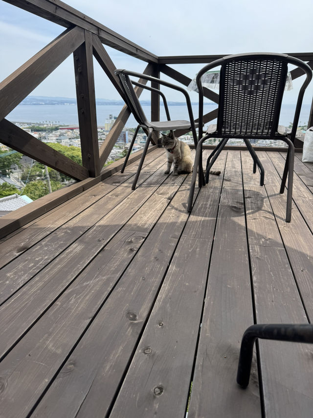 【大分グルメ】別府湾と別府の街並みが一望できる丘の上のカフェ