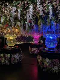 Art Aquarium Museum