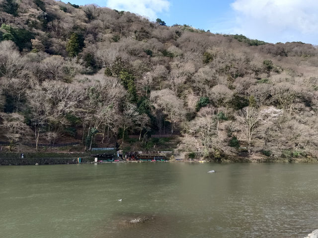嵐山竹林の小径