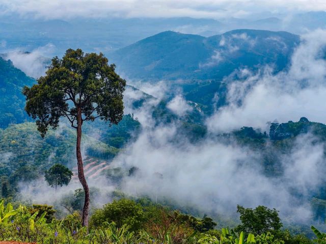 - ภาคใต้ที่ฟีลเหมือนได้วาร์ปไปเหนือ! 🏕️🌿🌳