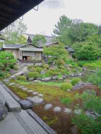 【行く前にこれ見て】名勝庭園を彩る翠の絨毯！心静かに新緑の美を味わう🌿✨※周辺観光情報付
