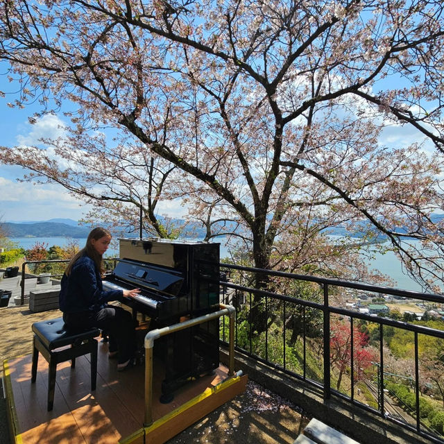 Kasamatsu Park: Cherry Blossoms and Heavenly Views