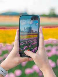 Kamiyubetsu Tulip Park สวนทิวลิปที่สวยสุดในญี่ปุ่น