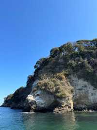 東京からすぐ行ける秘境🫣🌿豊かな自然と済んだ海の美しい無人島🏝