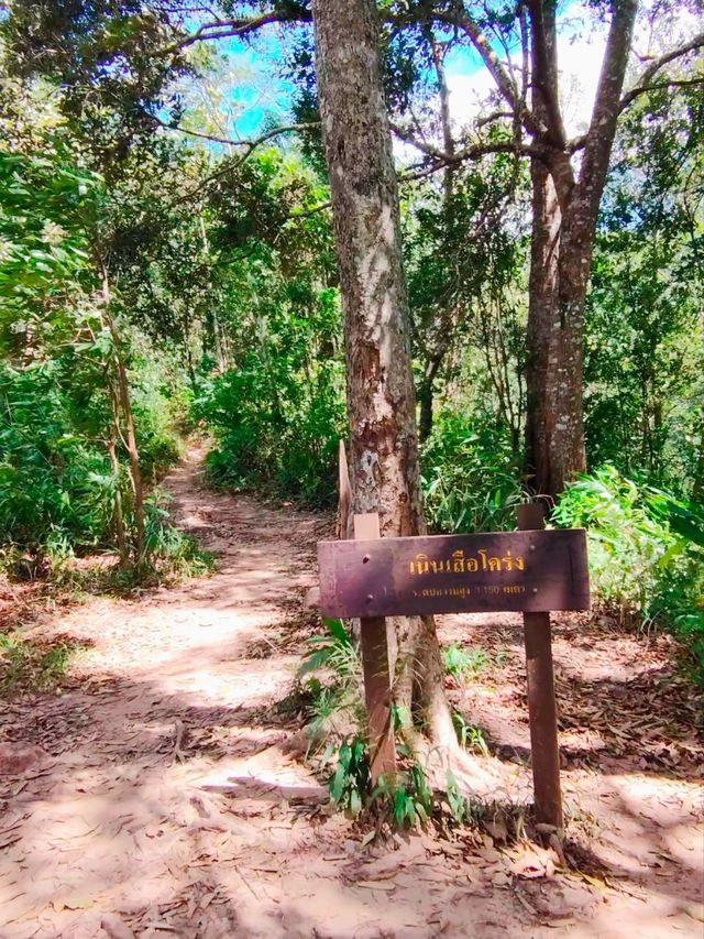 เดินป่าหน้าฝน อุทยานแห่งชาติภูสอยดาว อุตรดิตถ์