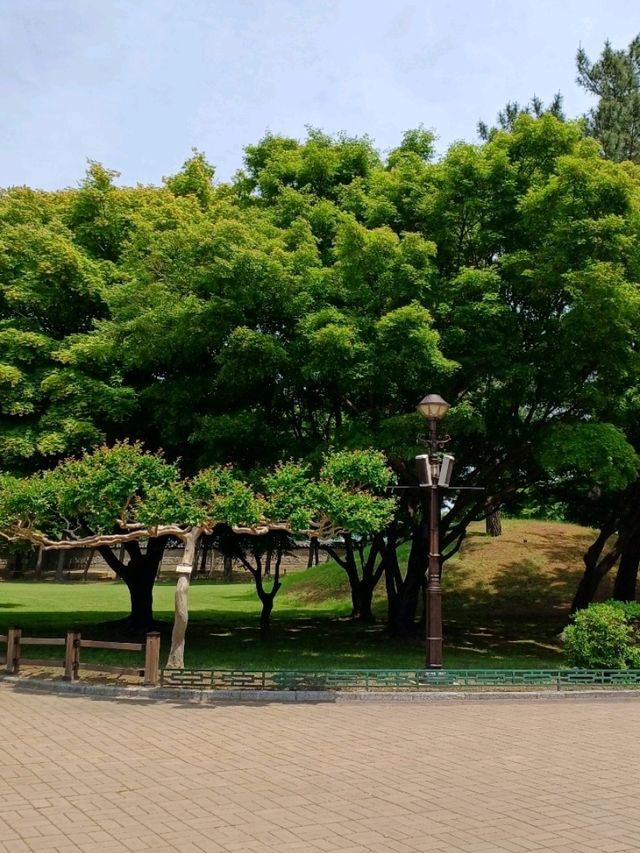 계절 따라 표정이 달라지는 고분 풍경