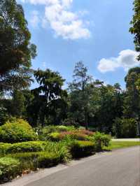 Tropical Oasis: Singapore Botanical Gardens