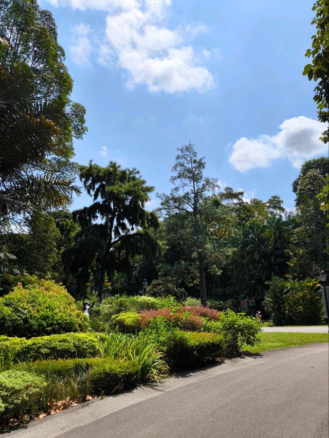 Tropical Oasis: Singapore Botanical Gardens
