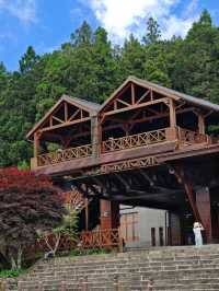 🚂 All Aboard the Red Train: Discovering Alishan Forest's Timeless Charm 🌲🍂