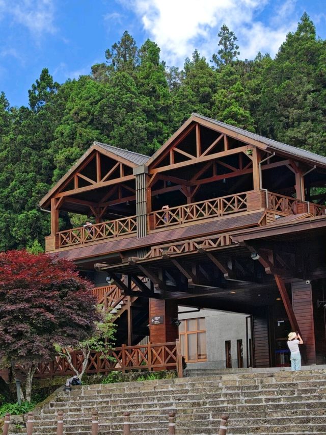 🚂 All Aboard the Red Train: Discovering Alishan Forest's Timeless Charm 🌲🍂