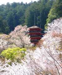 花の御寺 総本山 長谷寺 