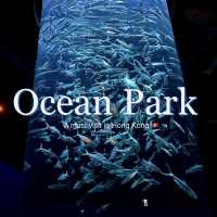 🌊🎢 Hong Kong Ocean Park — The Ultimate Weekend Thrill!