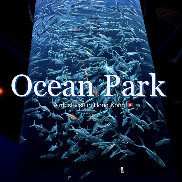🌊🎢 Hong Kong Ocean Park — The Ultimate Weekend Thrill!
