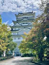 A Peaceful Day in Katsuyama, Fukui 🏯🌿