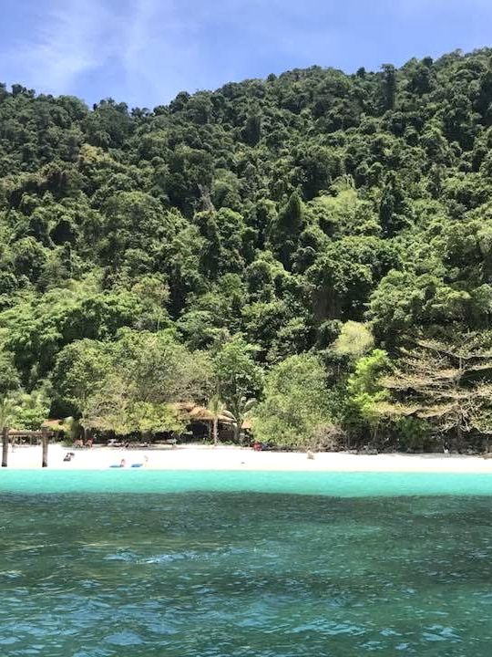 自然の恵みが息づくシミラン諸島。透明な海と多様な生態系を体験できる理想的な旅先です。