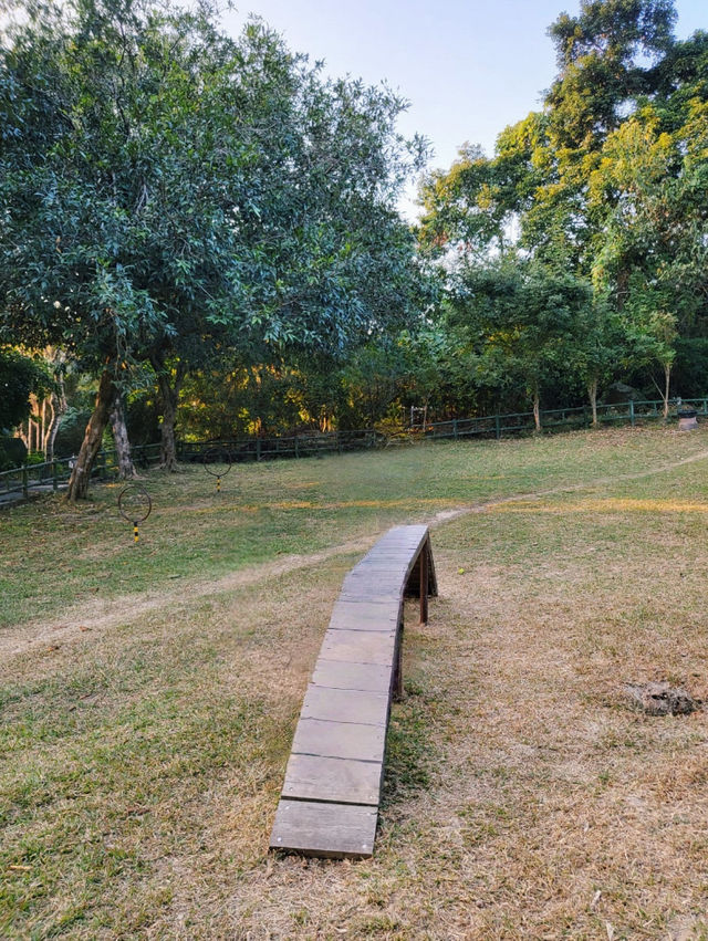 香港｜自然教育，野餐🧺，狗狗遊樂好去處.