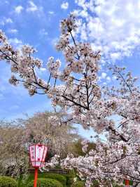 日本｜京都｜清水寺周邊