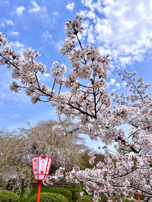 日本｜京都｜清水寺周邊
