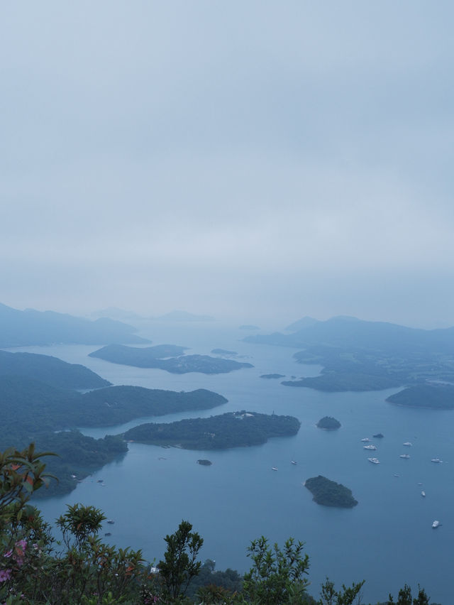 一小時登頂：賞「西貢千島湖」開揚景致 