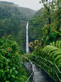 Akaka Falls State Park – Big Island