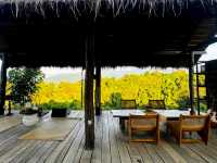 Utopua Resort ยูโทปัวว์ รีสอร์ท อ.ปัว น่าน