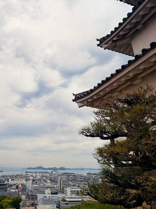 香川｜四百年丸龜城遺跡 最小的天守與日本最高的石垣