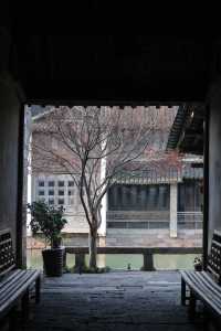 A Memorable Trip to Wuzhen